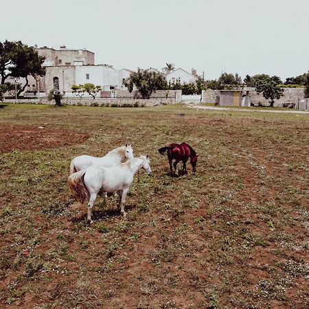 Masseria Francescani Torre Chianca Εξωτερικό φωτογραφία